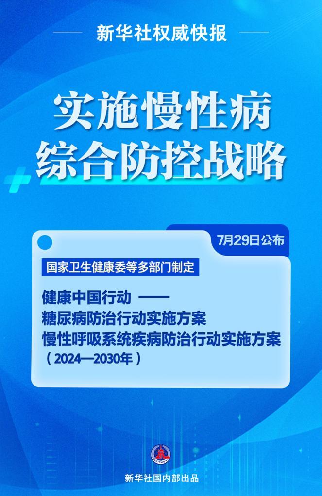 揭秘精准王中王，深度解析与有效落实策略