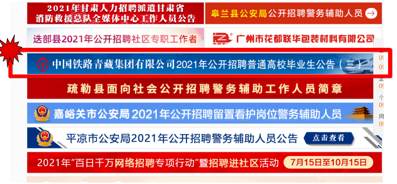 迈向2025，正版资料全年免费公开，精选解释解析落实之路