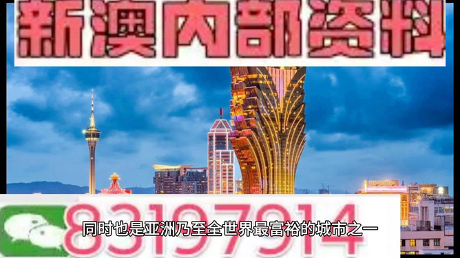 新澳门内部精准公开，解析与落实的精选解释