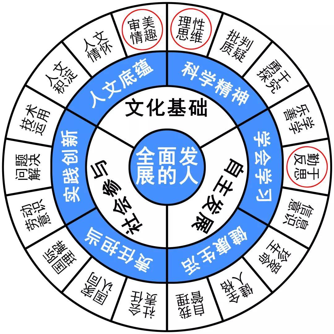 探索六和彩资料，专业网址解析与精选解析落实