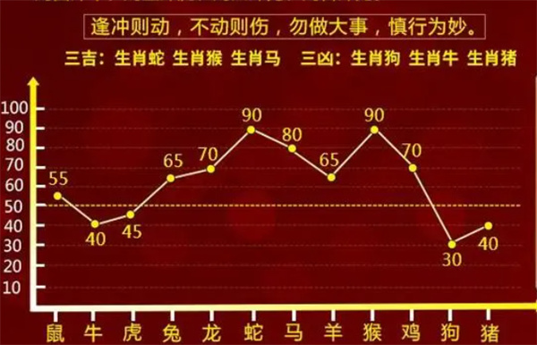 一肖一码，精准资料的落实与免费精选解析