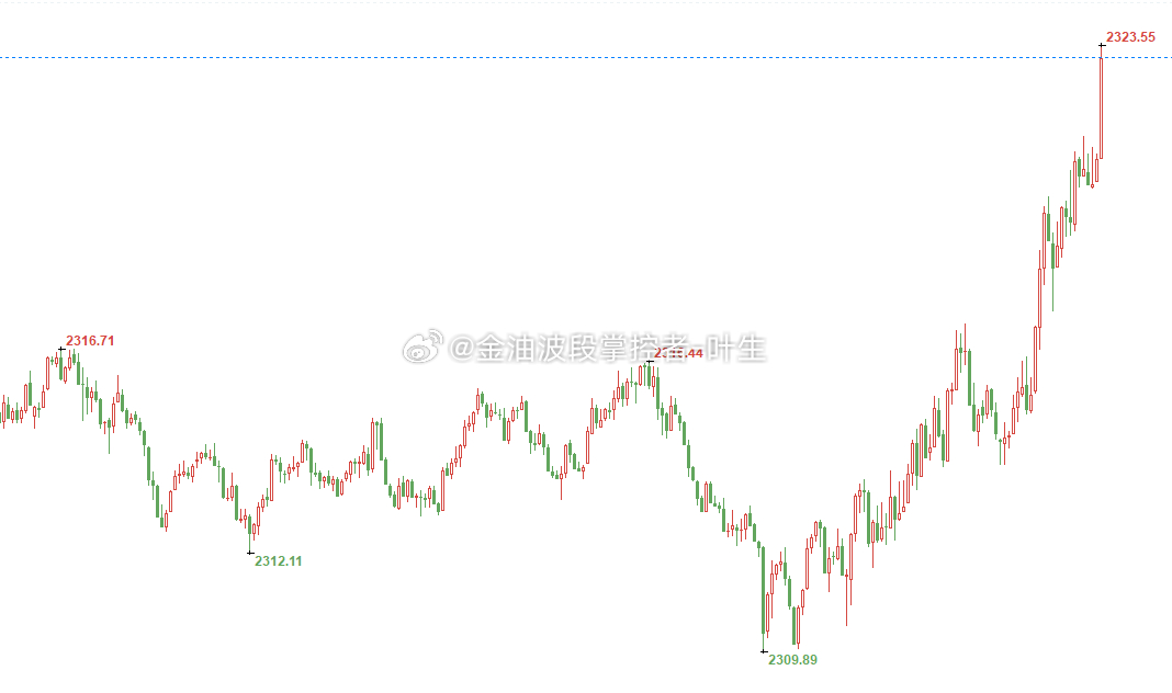 一肖一码100%中，精准预测与精选解析的落实之道