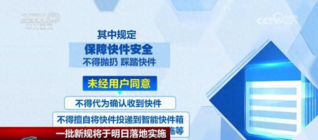 新奥天天开好彩大全第53期，深度解析与落实策略