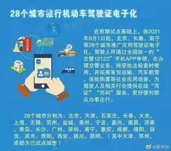 深入理解7777788888管家婆网一，全面解析与落实策略