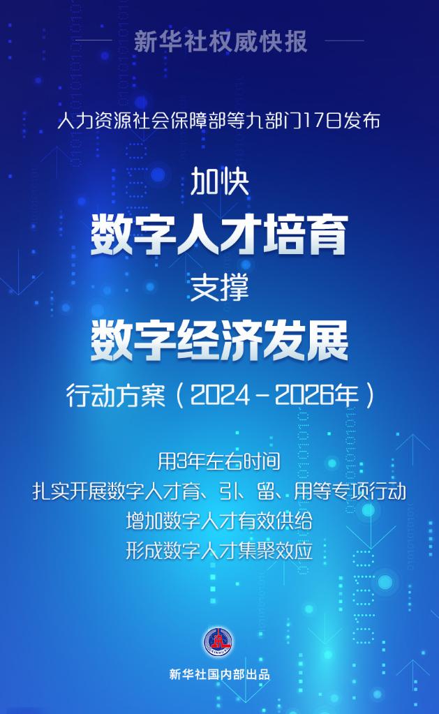 解析澳门正版精准信息，迈向未来的策略与行动方案