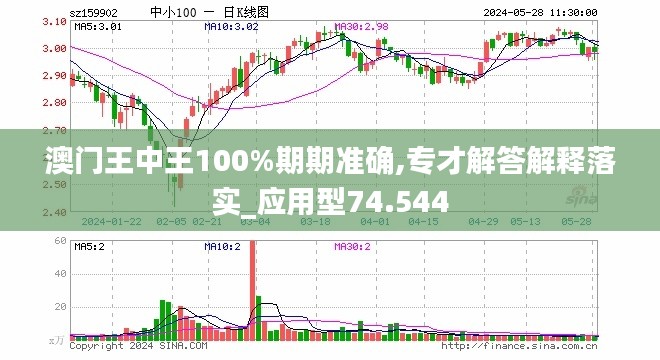 解析澳门王中王游戏背后的秘密与未来展望