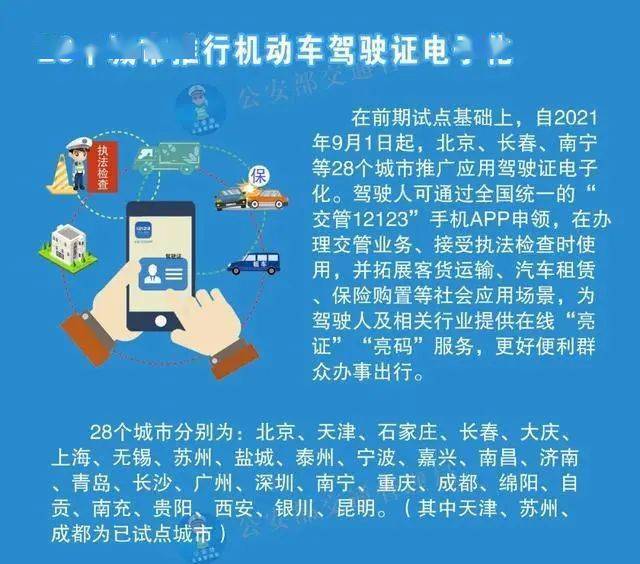 澳码彩票解析与落实策略，今晚开奖的神秘数字494949与策略精选