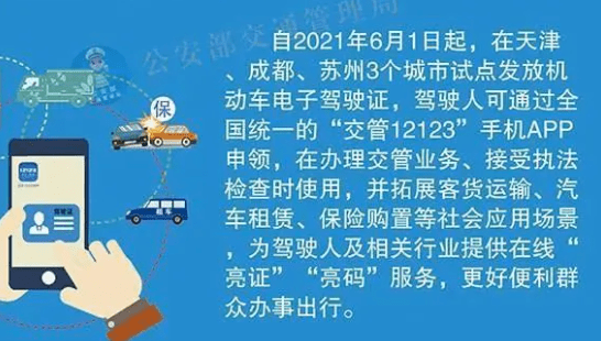 澳门彩票的未来展望，2025新澳门天天开奖免费资料大全与精选解析落实