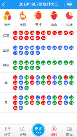 澳门彩票资料解析与未来展望，2025澳门天天开好彩正版资料大全精选解析落实