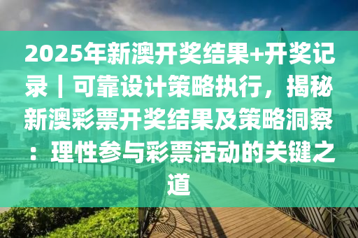 新澳历史开奖2025，解析与落实策略精选