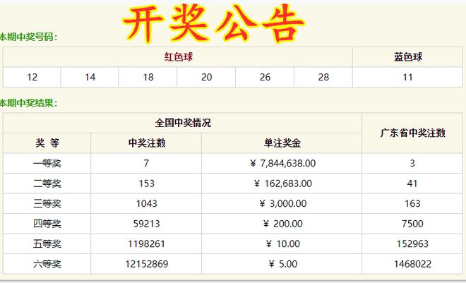 2025年新澳门开奖结果查询与精选解析落实策略