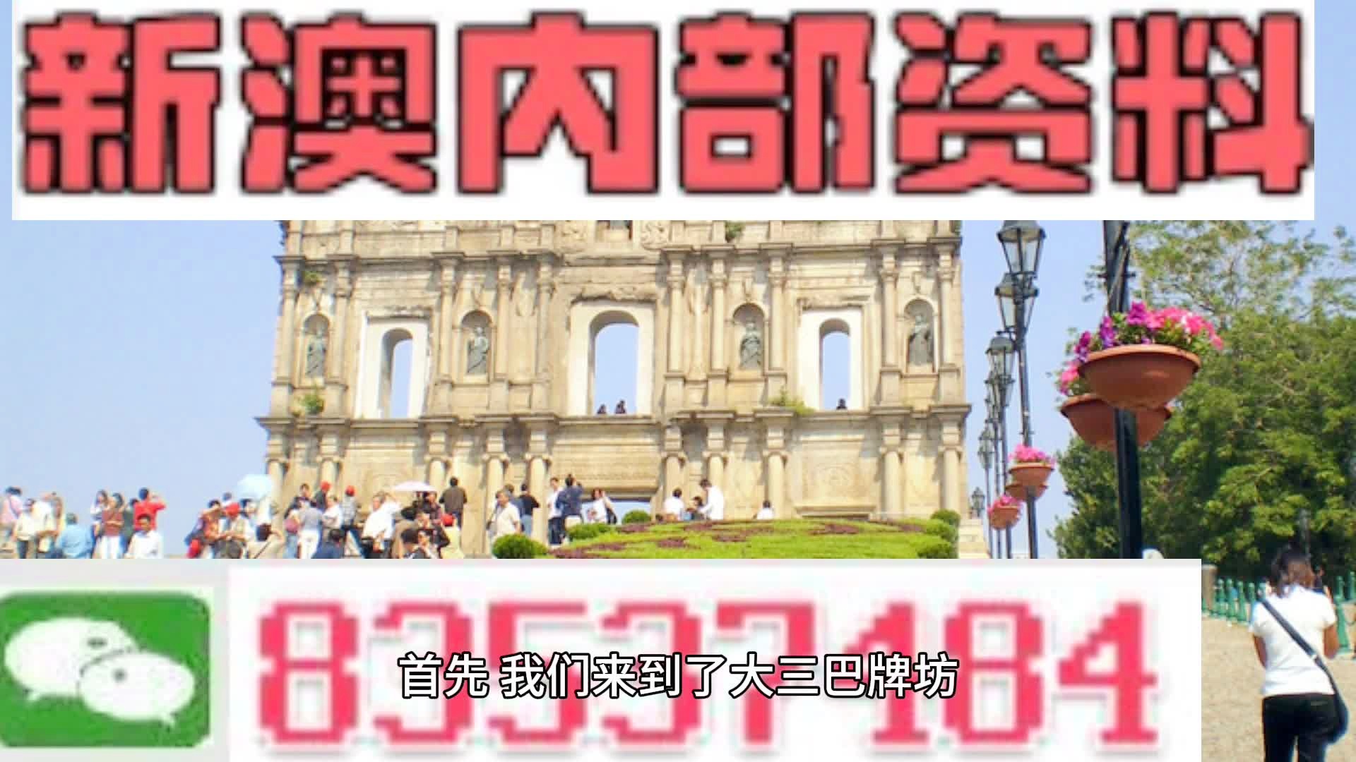 新澳2025今晚王中王免费资料解析与精选落实策略