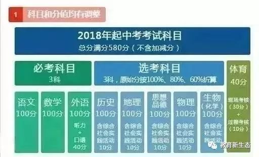 新澳全年资料免费公开，精选解释解析落实的重要性与策略