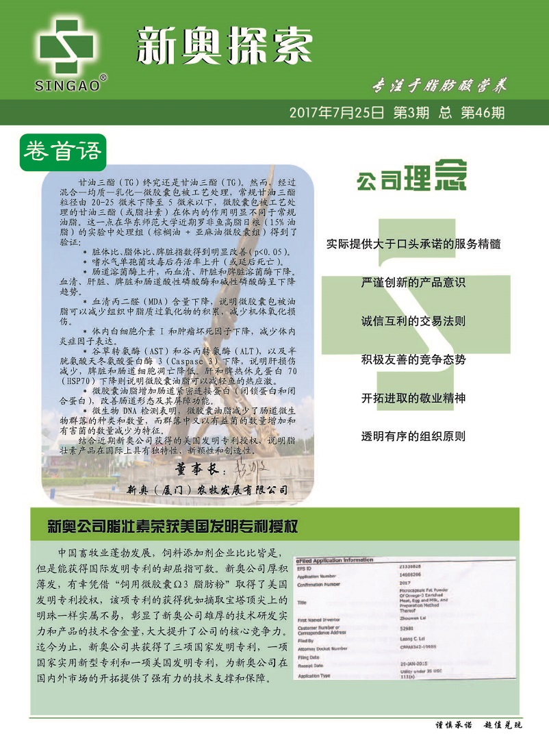 2004新奥精准资料，无偿分享与深度解析落实