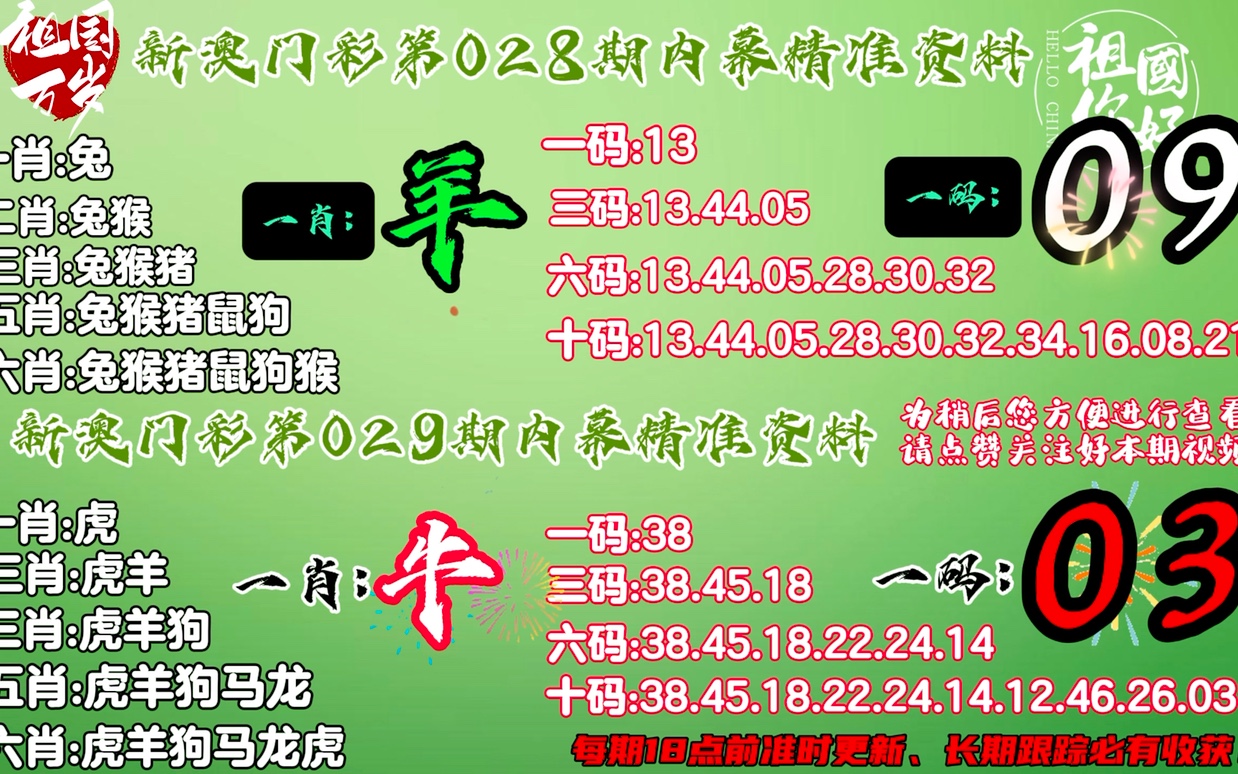 澳门精准二肖解析与落实，揭示背后的真相与应对之道