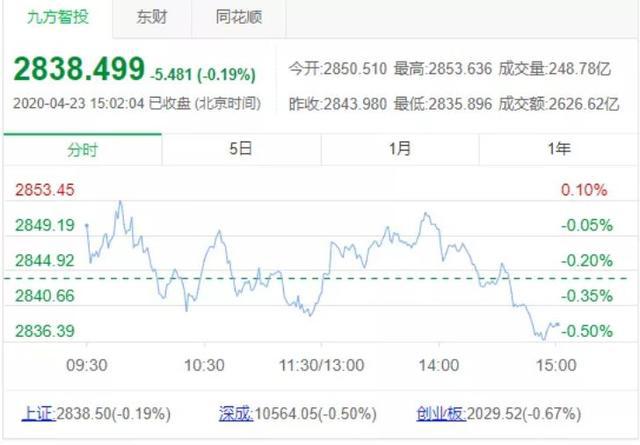 新澳开奖记录今天结果，深度解析与精选解释