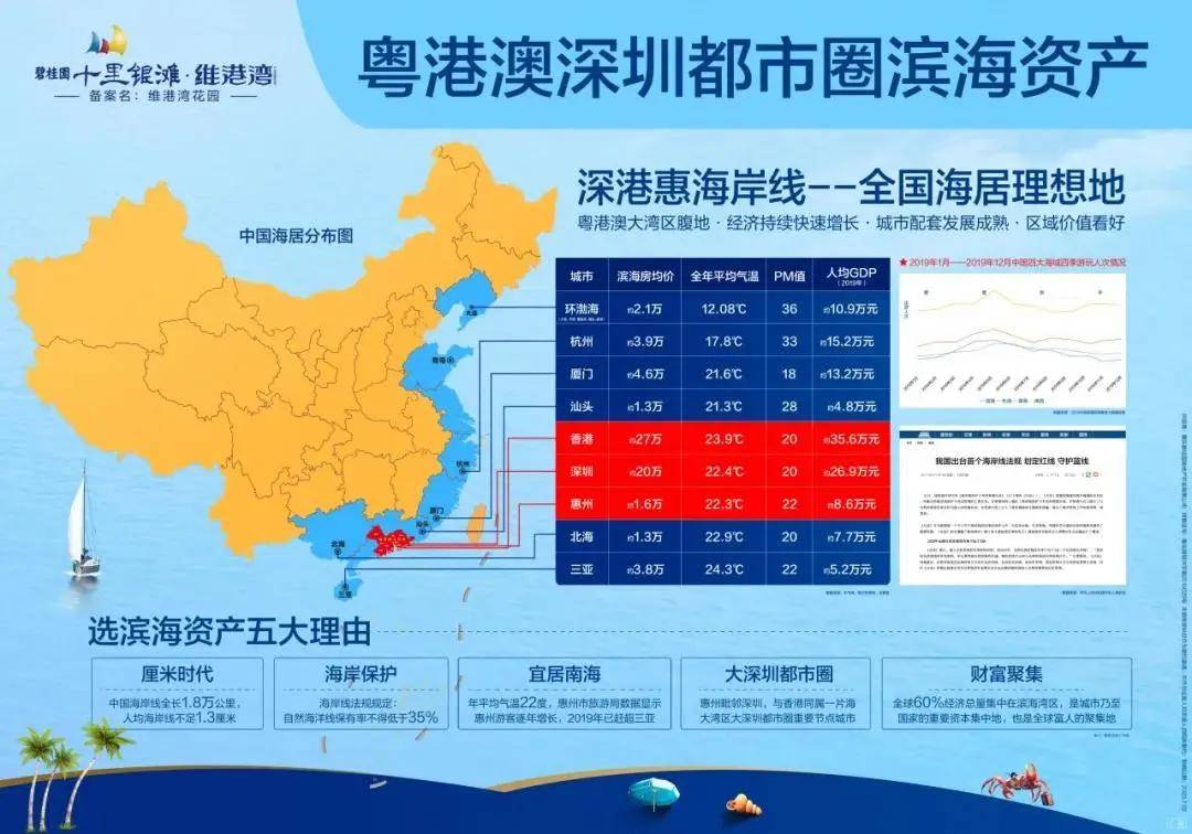 澳门六开彩天天免费资料大全版，深度解析与点评