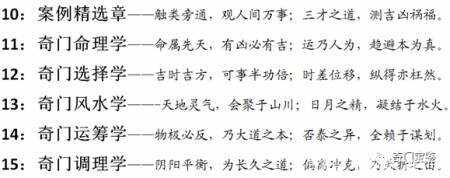 新澳2025一肖一码道玄真人解析与精选策略落实探讨